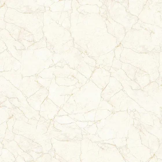 Gạch lát nền 100x100 Tasa TS 1006