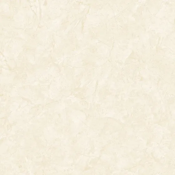 Gạch lát nền 100x100 Tasa TS 1061