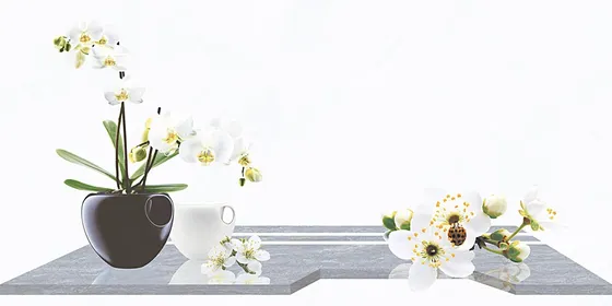 Gạch ốp tường 30x60 Hoàn Mỹ PE 2088