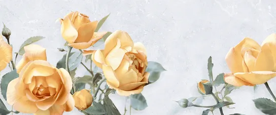 Gạch ốp tường 30×72 Hoàn Mỹ HM 24019