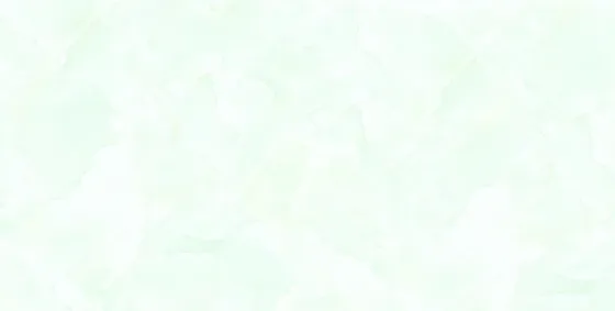 Gạch ốp tường 40×80 Tasa TS 4909