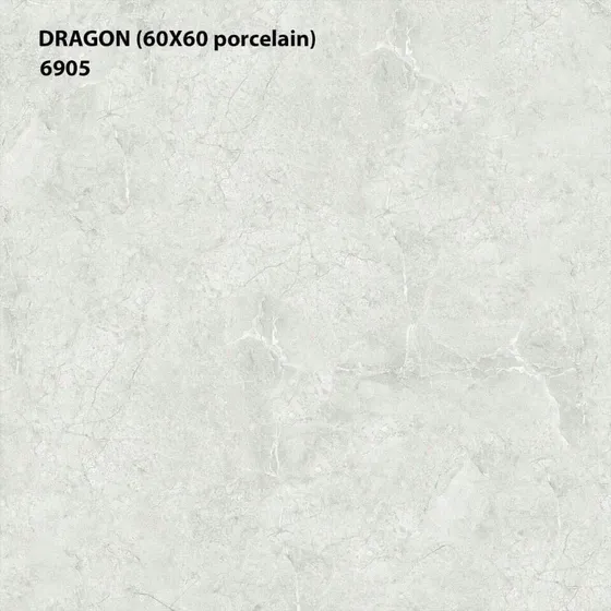 Gạch lát nền 60x60 Blue Dragon BD 6905