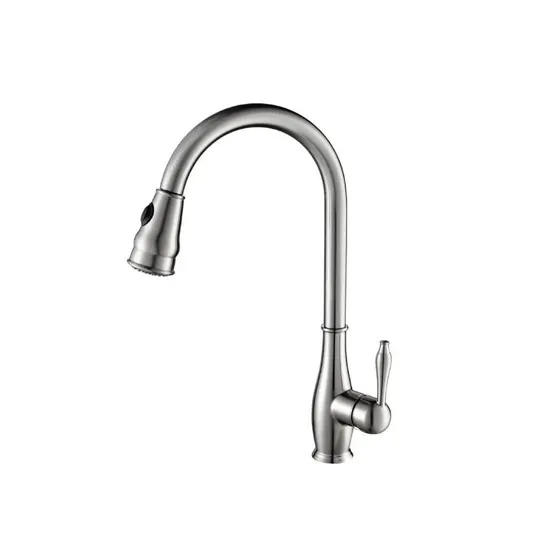 Vòi bếp dây rút BR080