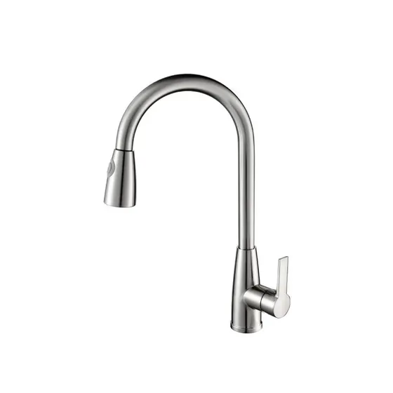 Vòi bếp dây rút BR117