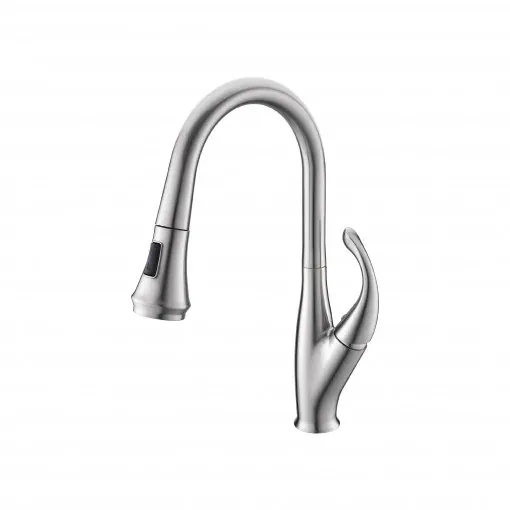 Vòi bếp dây rút BR605-M