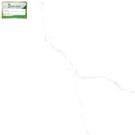 Gạch lát nền 60x60 Hoàn Mỹ PE 6310