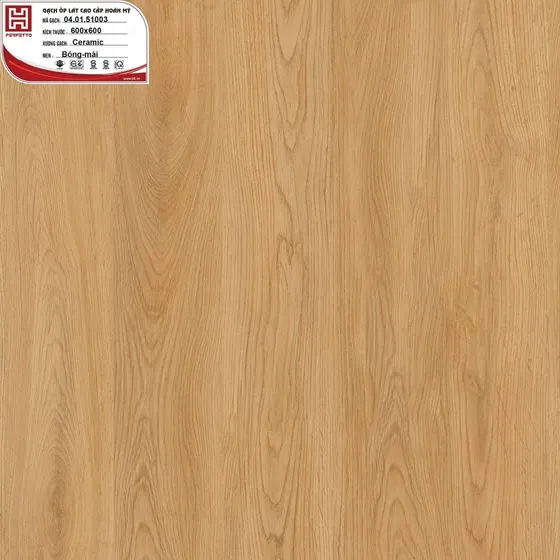 Gạch lát nền 60x60 Hoàn Mỹ PE 51003