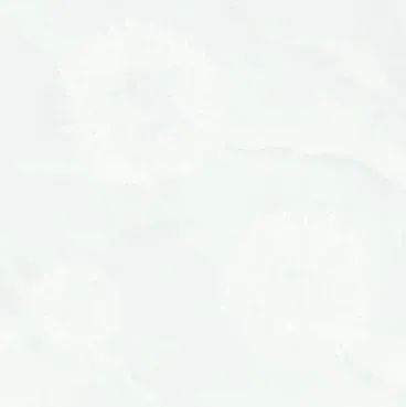 Gạch lát nền 60x60 Hoàn Mỹ PE 6501
