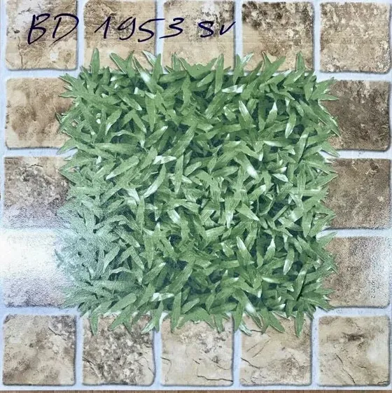 Gạch lát sân 50x50 Blue Dragon BD 1953