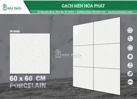 Gạch Terrazzo 60x60 Tasa TS 6656