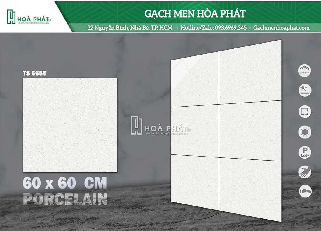 Gạch Terrazzo 60x60 Tasa TS 6656