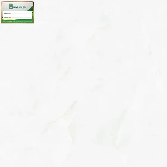 Gạch lát nền 60x60 Tasa TS 6724