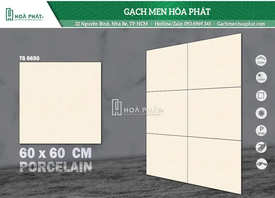 Gạch lát nền 60x60 Tasa TS 6650