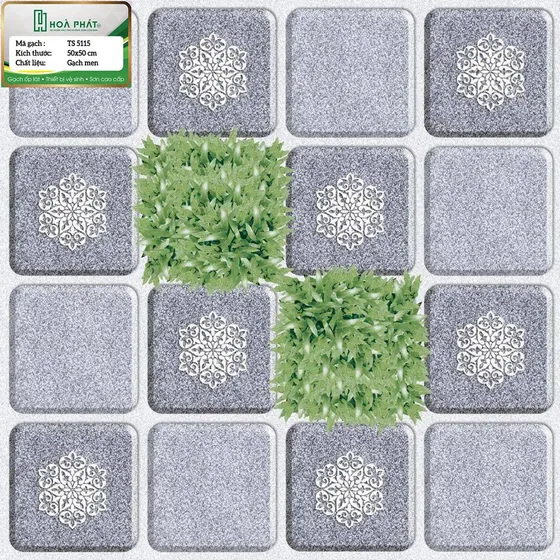 Gạch lát sân 50x50 Tasa TS 5115