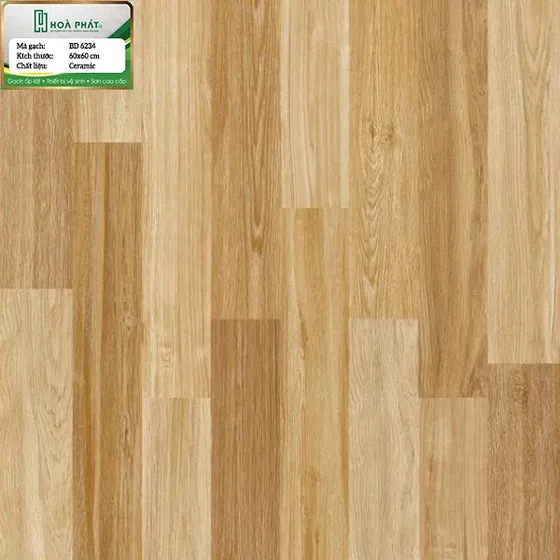 Gạch lát nền 60x60 Blue Dragon BD 6234