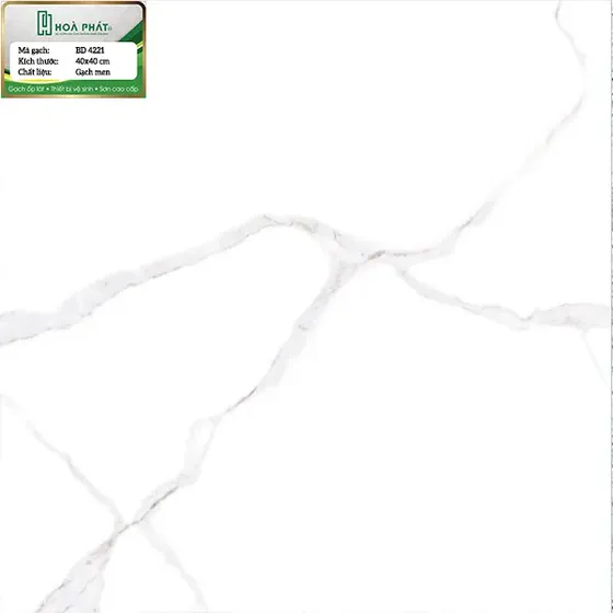 Gạch lát nền 40x40 Blue Dragon BD 4221