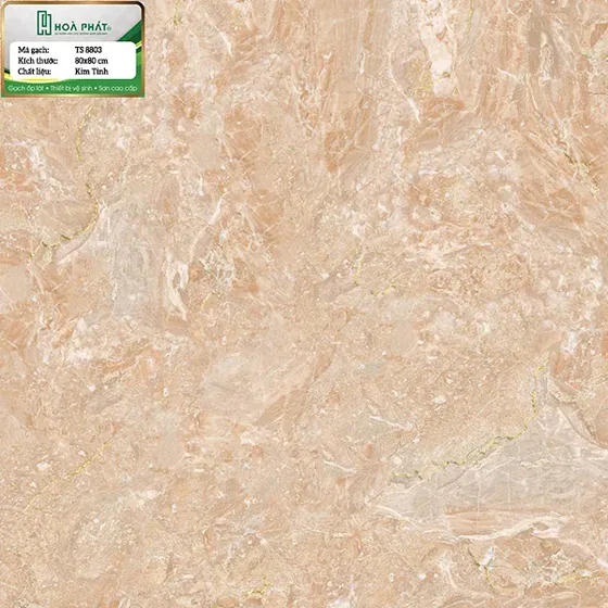 Gạch lát nền 80x80 Tasa TS 8803
