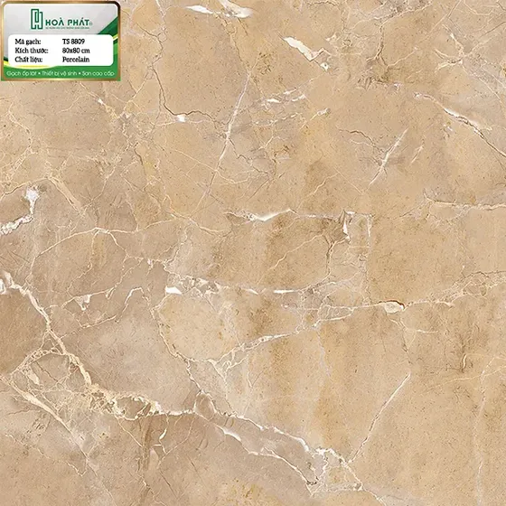 Gạch lát nền 80x80 Tasa TS 8809
