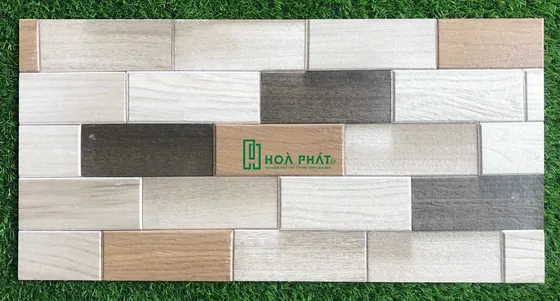 Gạch ốp tường 30x60 Nhập khẩu Ấn Độ HP Tracia 03
