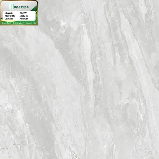 Gạch lát nền 60x60 Tasa TS 6977