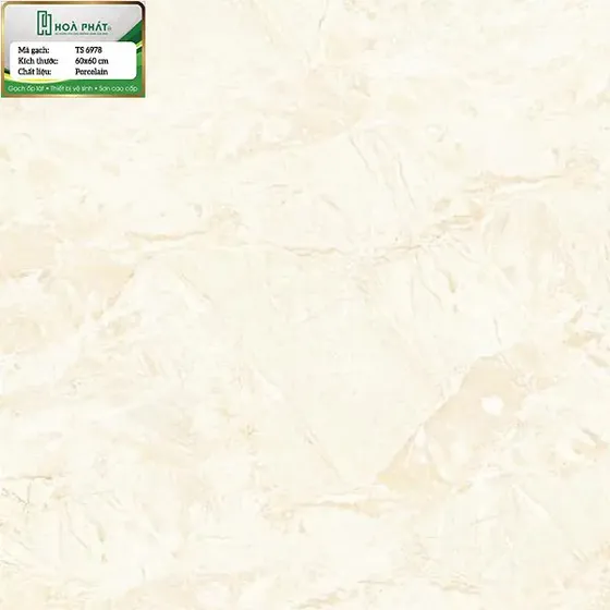 Gạch lát nền 60x60 Tasa TS 6978