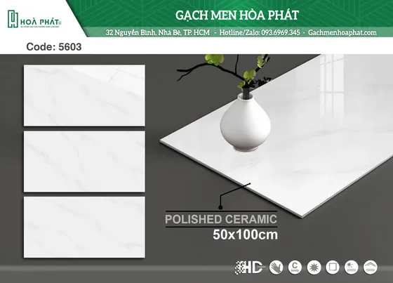 Gạch ốp tường 50x100 Tasa TS 5603