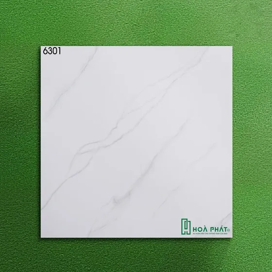 Gạch lát nền 60x60 World Tiles 6301