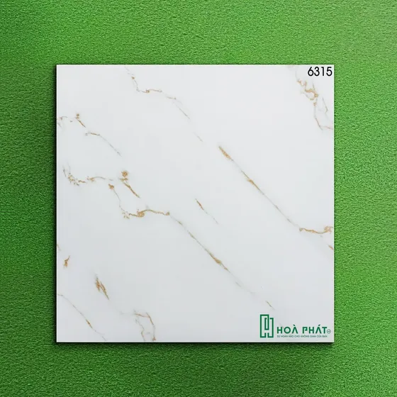 Gạch lát nền 60x60 World Tiles 6315