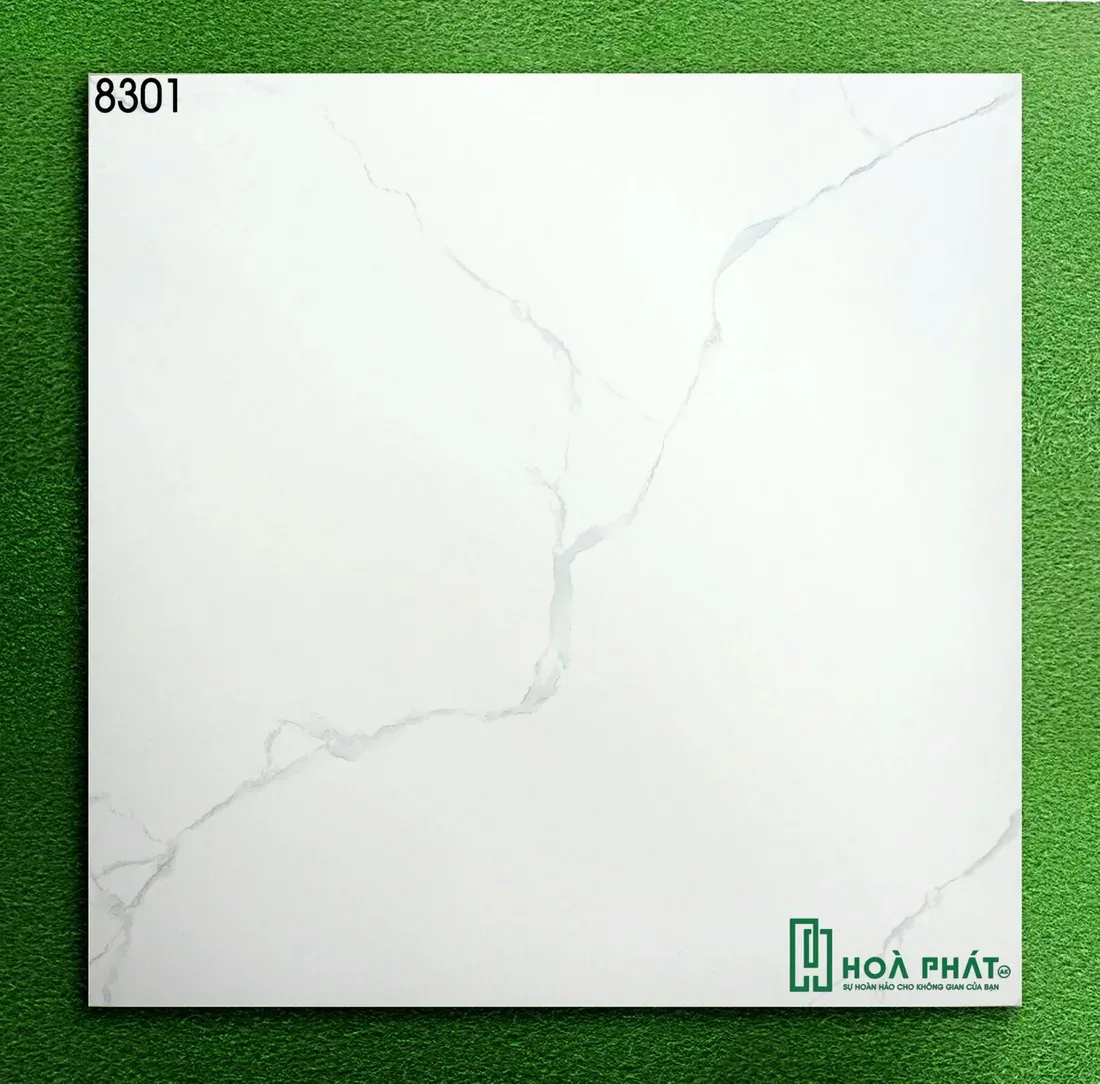 Gạch lát nền 80x80 World Tiles 8301