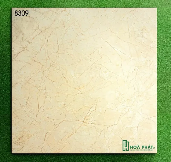Gạch lát nền 80x80 World Tiles 8309