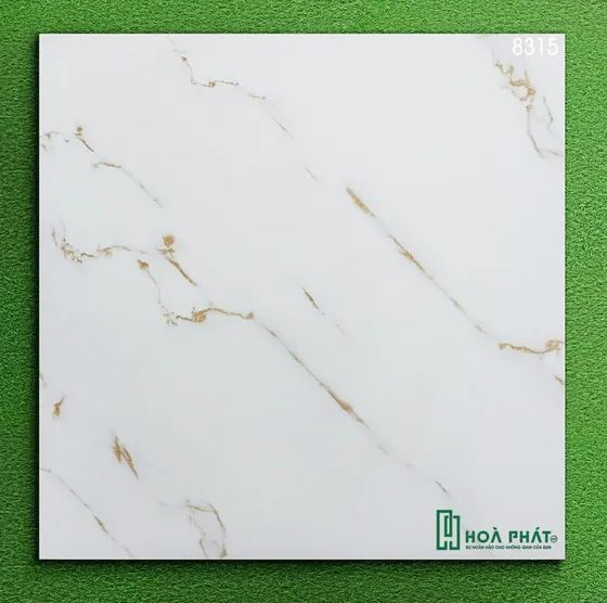 Gạch lát nền 80x80 World Tiles 8315