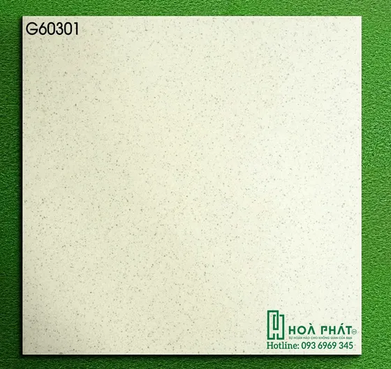 Gạch lát nền 60x60 Queen Tiles G60301