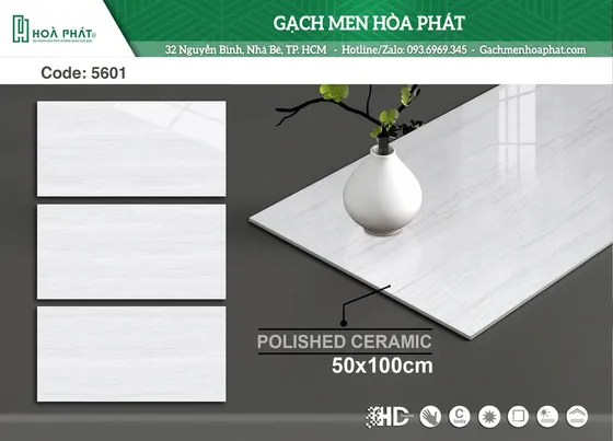Gạch ốp tường 50x100 Tasa TS 5601
