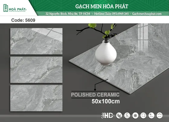 Gạch ốp tường 50x100 Tasa TS 5609