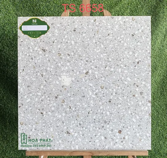 Gạch Terrazzo 60x60 Tasa TS 6658