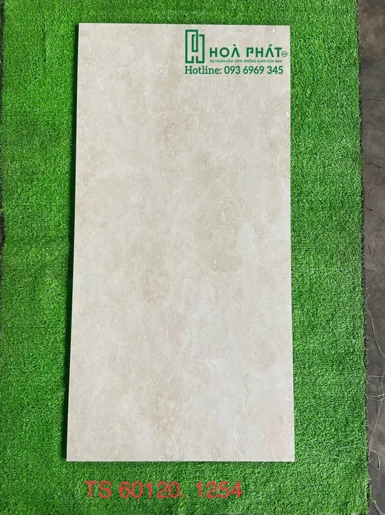 Gạch lát nền 60x120 Tasa TS 1254
