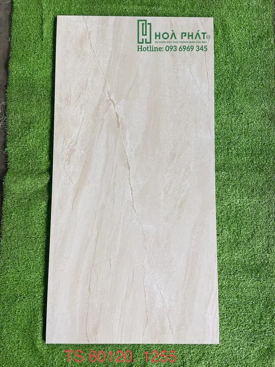 Gạch lát nền 60x120 Tasa TS 1255