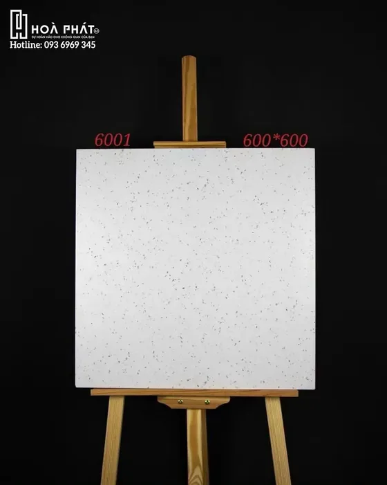 Gạch lát nền Terrazzo nhập khẩu 60x60 6001