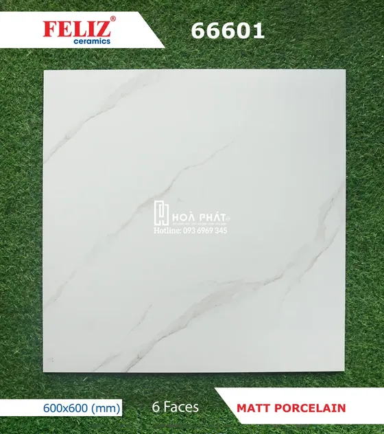 Gạch lát nền 60x60 Feliz 66601