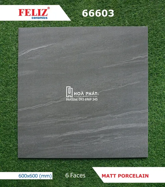 Gạch lát nền 60x60 Feliz 66603