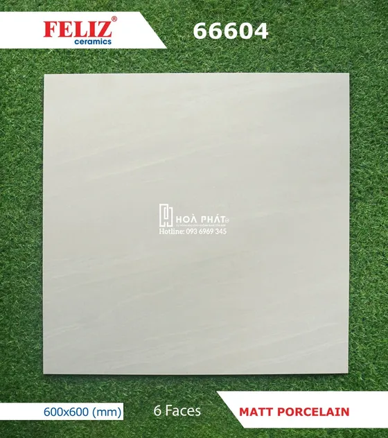 Gạch lát nền 60x60 Feliz 66604