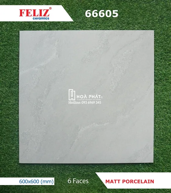 Gạch lát nền 60x60 Feliz 66605