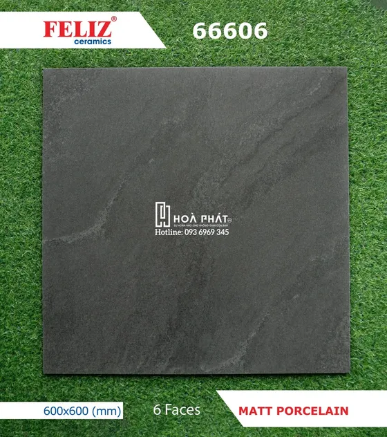 Gạch lát nền 60x60 Feliz 66606