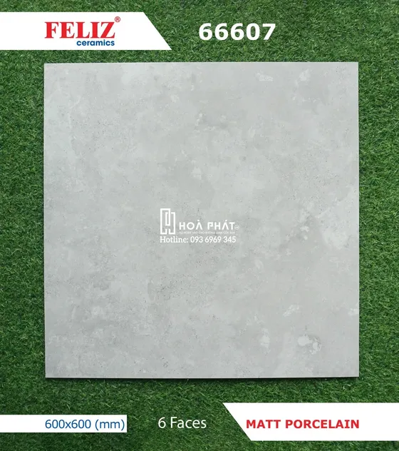 Gạch lát nền 60x60 Feliz 66607
