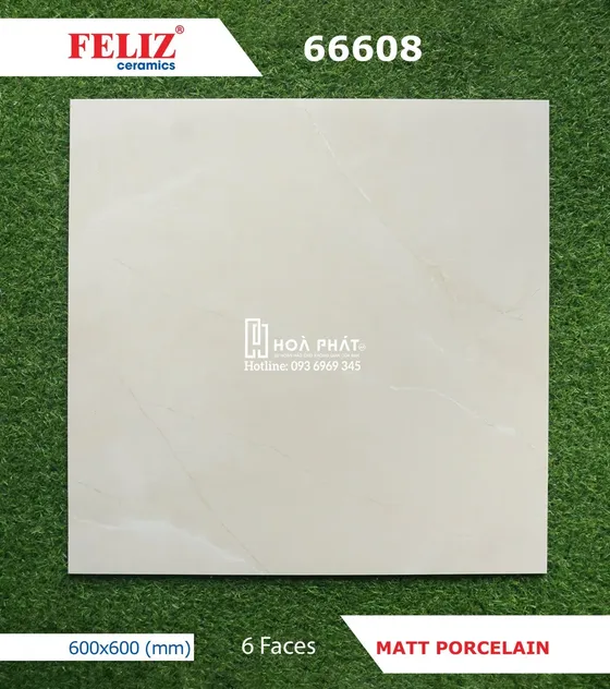Gạch lát nền 60x60 Feliz 66608