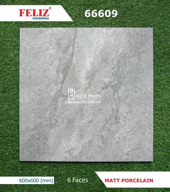Gạch lát nền 60x60 Feliz 66609