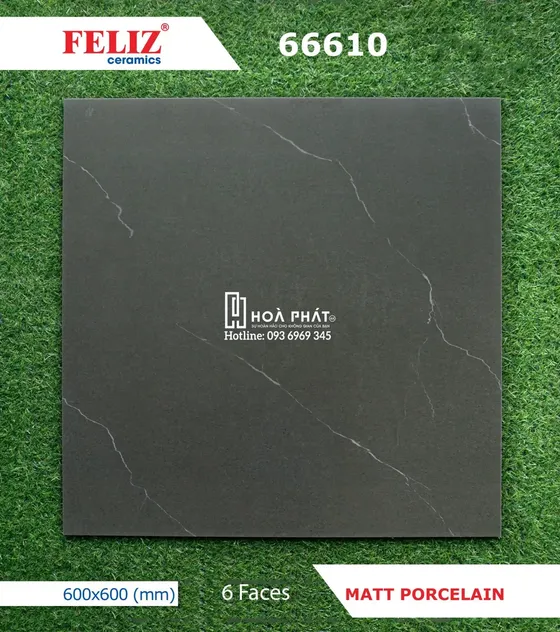 Gạch lát nền 60x60 Feliz 66610