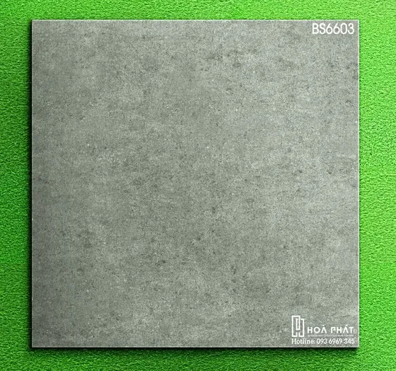 Gạch lát nền 60x60 Viglacera BS6603