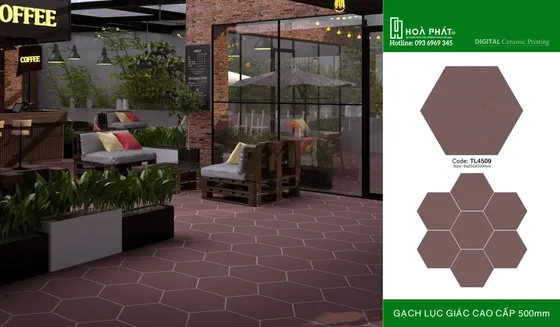Gạch lục giác sân vườn 6×250×500mm Thanh Long TL 4509