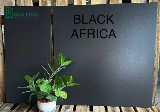 Gạch lát nền 60x60 đen mờ Black Africa